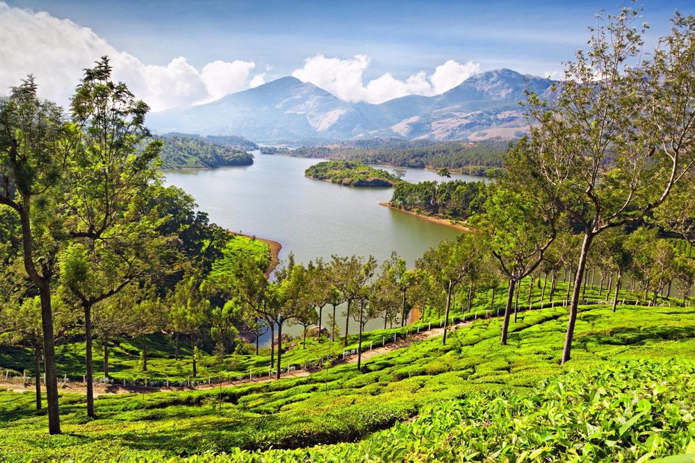 Tea-covered hills and lake in Munnar, Kerala